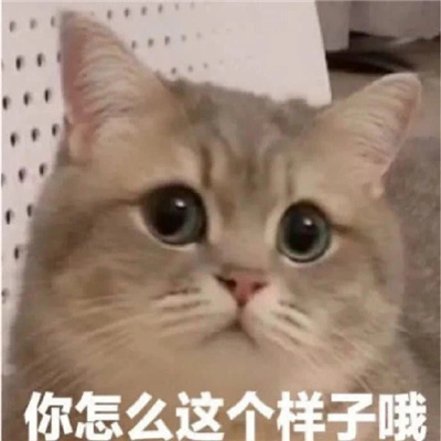 ����Цһ����ı���ϼ� ����ϲ���ı�����������