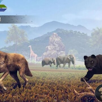 ��Ұ����������ģ��Wild Panther Animal Life Sim