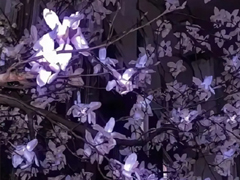 ��������ܸ��Ե�˵˵ ��������֮�������Ȧ�̾�