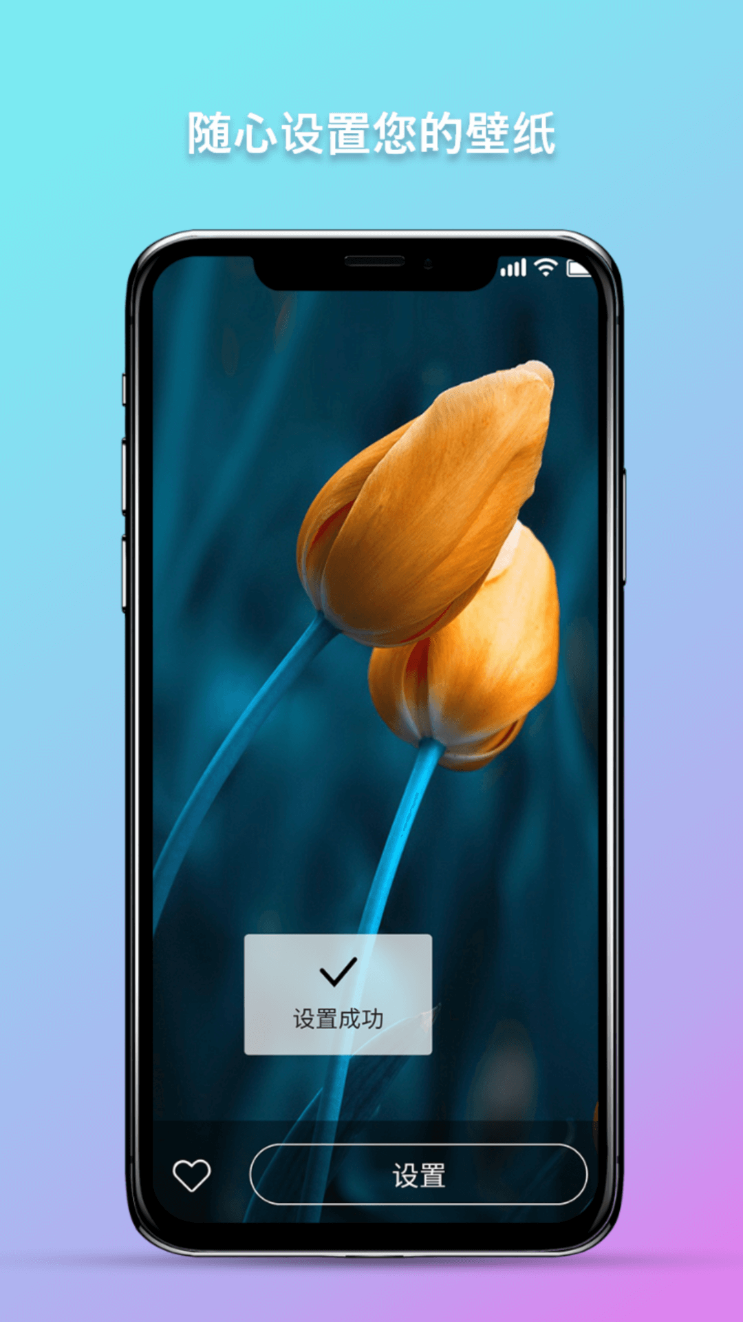 �����ֽappv1.0.0 ���°�
