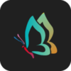 �����ֽappv1.0.0 ���°�