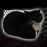 ҹ׷ģ(Night Maxwell Cat Simulator)v7.5 °