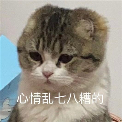 ���д����Ȥζ���鳬���� �����̵ĺ������ϼ�