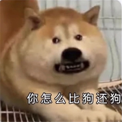 ʹ��Ƶ�ʳ��ߵı������� ����ô�ȹ�����