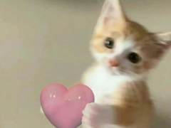 ���Ʒ������������ �޾޾޺������ǳƺϼ�