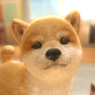 �빷ͬ��(withMyDOG)v1.0.2 ��׿��