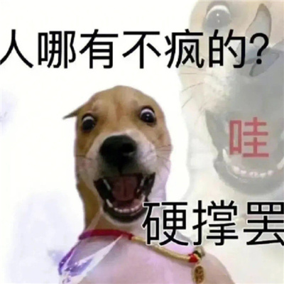 ����ʧ���ĸ�ֺ�Ц���� �����в����Ӳ�Ű���