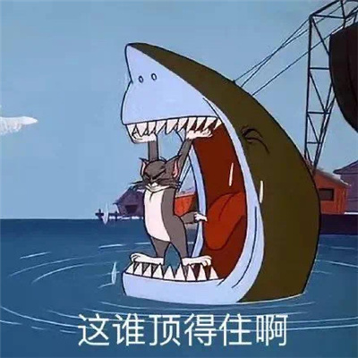 ����ĺ���������°� 2023���ĵĲ����˱���