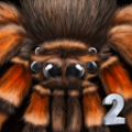 �ռ�֩��ģ����2(Spider Colony Simulation 3D)v2.4 ���İ�