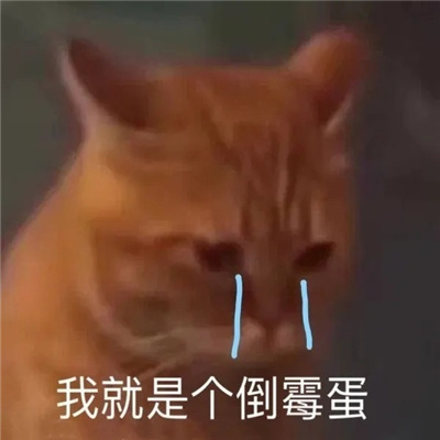 ����Ѿõĺ������ϼ� �ù�����ɳ��ı���