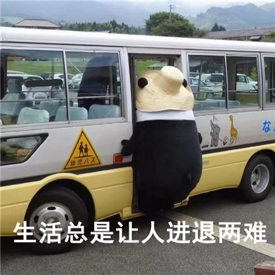 ���õĺܺ���ı���ϼ� �����������˽�������