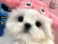 �����񿧷�һ�����˵˵ ���������ǿ࿧����¼