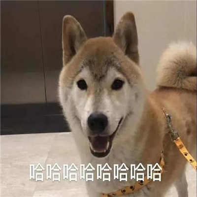 һ�����õ��ϵ����춷ͼ���� ����ô˦����