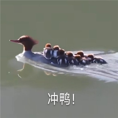 һ�����õ��ϵ����춷ͼ���� ����ô˦����