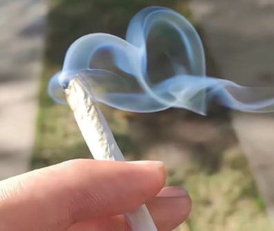 慵懒风网名懒散气质 慵懒可爱的网名最热 慵懒风网名懒散气质 慵懒可爱的网名最热
