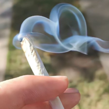 慵懒风网名懒散气质 慵懒可爱的网名最热 慵懒风网名懒散气质 慵懒可爱的网名最热