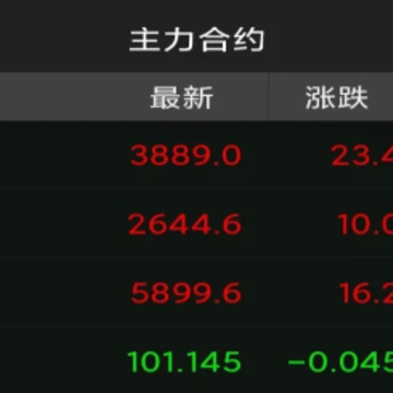 ��̩ӯ���ֻ�app