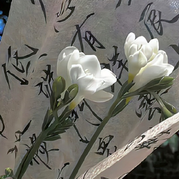 ������İ��ɾ����� ����Ŭ����Ϊ�����˵���¼