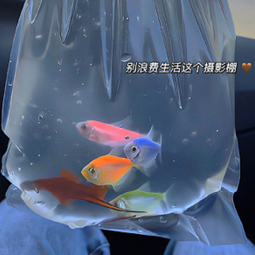 人间清醒的霸气签名 2023很酷的拽拽签名 人间清醒的霸气签名 2023很酷的拽拽签名