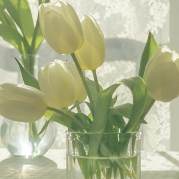 �ֵ���û���·����ļ���˵˵ Ů�˻���ȱ�·��ľ���