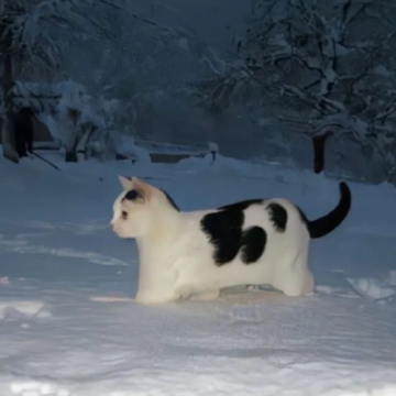 �����˷�����Ȧ�İ� ������������Ȧ��Ц˵˵