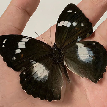 ��׳ɹ�������˵˵ ���׳ɹ��Ĺ����İ�