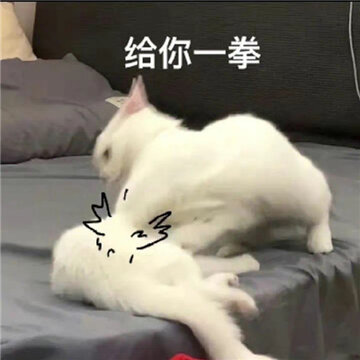 a007f1e0gy1h6j49tpallj20k00jz3yr.jpg a007f1e0gy1h6j49tpallj20k00jz3yr.jpg