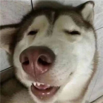 ��������̫������ͷ�� �ܸ���ϲ������ô���õ���