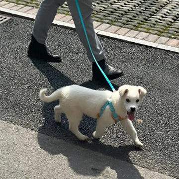 �޹�����Ĭ˵˵������Ȧ �����޹�����˵˵