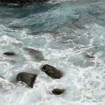 ȫ����ֽ��Ů�ĸ��� �������Ŀ��ϵ�Ƥ���ϼ�
