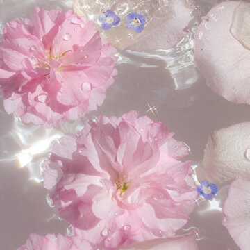 ȫ����ֽ��Ů�ĸ��� �������Ŀ��ϵ�Ƥ���ϼ�
