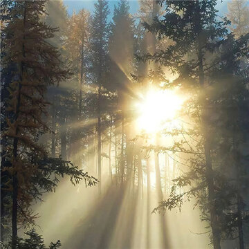 ���ر���ֺ����ʵ�ͼƬ������ ����Ʒλ�ĸ������زĺϼ�
