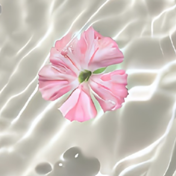 ���ڸ߿�������Ψ������ �߿��������İ����