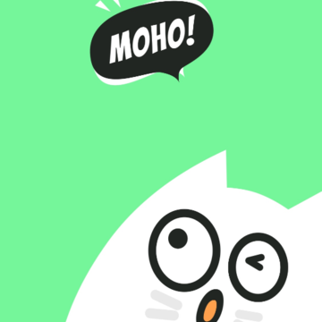 MOHO-��ʱ������Ͽ���