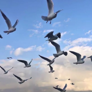 ����ҲҪӲ�Ŵ�����˵˵ �Լ�������Ҫ���޵�˵˵