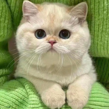���ô�ֵĸ߼�ǩ�� �ʺϳ����ö��Ķ̾�ǩ��