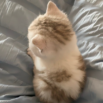 ��������ѵķ�����¼��Ц �������ѵĸ�Ц����