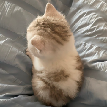 ����������Ů�˵�˵˵ ���������������