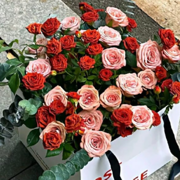 ���Ӳ���̫����ܰ�ͺõľ��� ���Ӳ��ں���С��ܰ�ͺõľ���