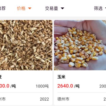 粮策 粮策