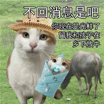 �����Ѽ���ɳ���ְ�Ŀ��ֱ��� ���Ҫ��������