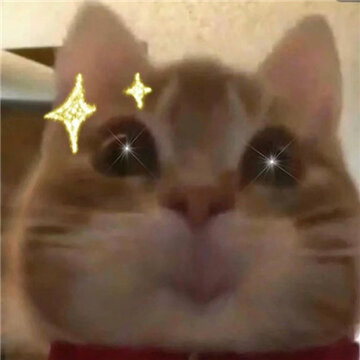 �����Ѽ���ɳ���ְ�Ŀ��ֱ��� ���Ҫ��������
