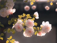 �ɾ���ǩ������������ ������һ�ľ���ǩ��