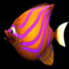 ��ʳ��Feeding Frenzyv1.7 ��׿��
