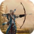 �����ִ̿����Archer Assassinv0.5 ��׿��