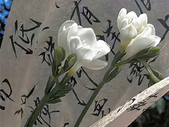 ������İ��ɾ����� ����Ŭ����Ϊ�����˵���¼