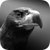 ��ӥ֮��(Eagle Hunting Journey)v0.1193 ��׿��