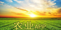 ũҵAPP