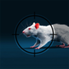 ����ѻ���(AirRifle 3D RatShooting)v0.6.5 ���İ�
