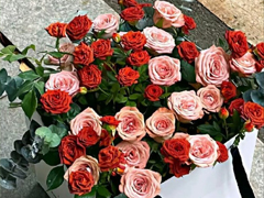 ���Ӳ���̫����ܰ�ͺõľ��� ���Ӳ��ں���С��ܰ�ͺõľ���